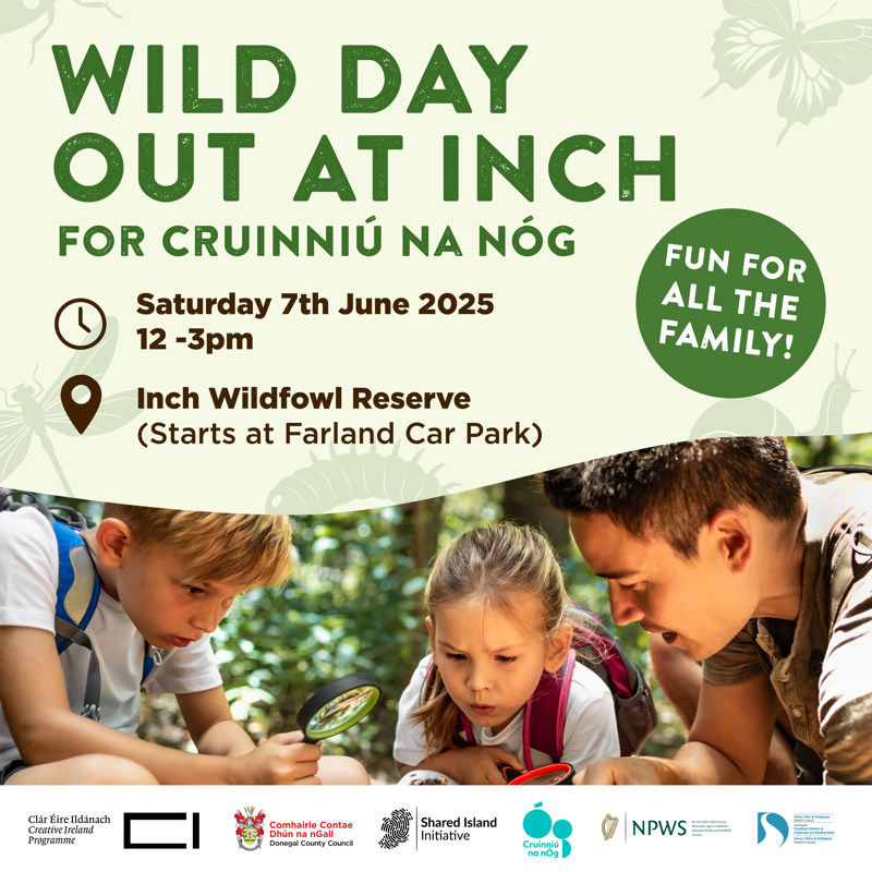 Walk on the wild side of Inch Island this June