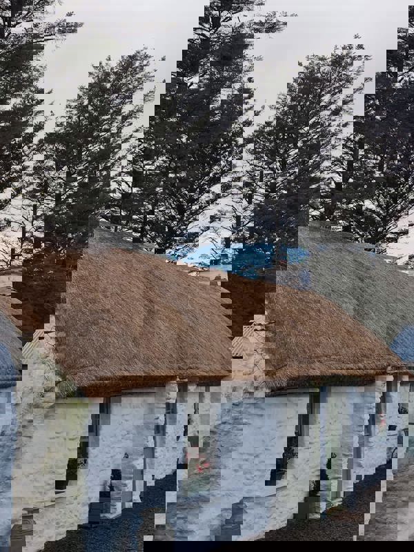 Image text description