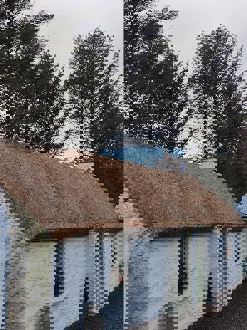 Thatch Repair Grant Scheme Opens