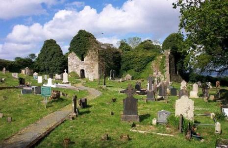 Killydonnell Friary & Graveyard is protected under the National Monuments Acts (1930-2004)
