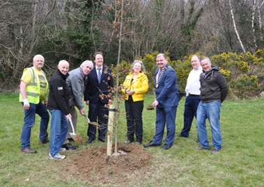 Neil Blockley, Tidy Towns , Neily Mc Daid ,Tidy Towns , Charlie Grant , Tidy Towns, Fergal Doherty Area Engineer , Anne Mc Gowan , Chairperson Letterkenny Tidy Towns ,  Cathaoirleach of Donegal County Council Cllr Ciarán Brogan , Michael Mc Fadden , Town Engineer ,and David Donnelly Town Gardener at the Tree Planting Ceremony