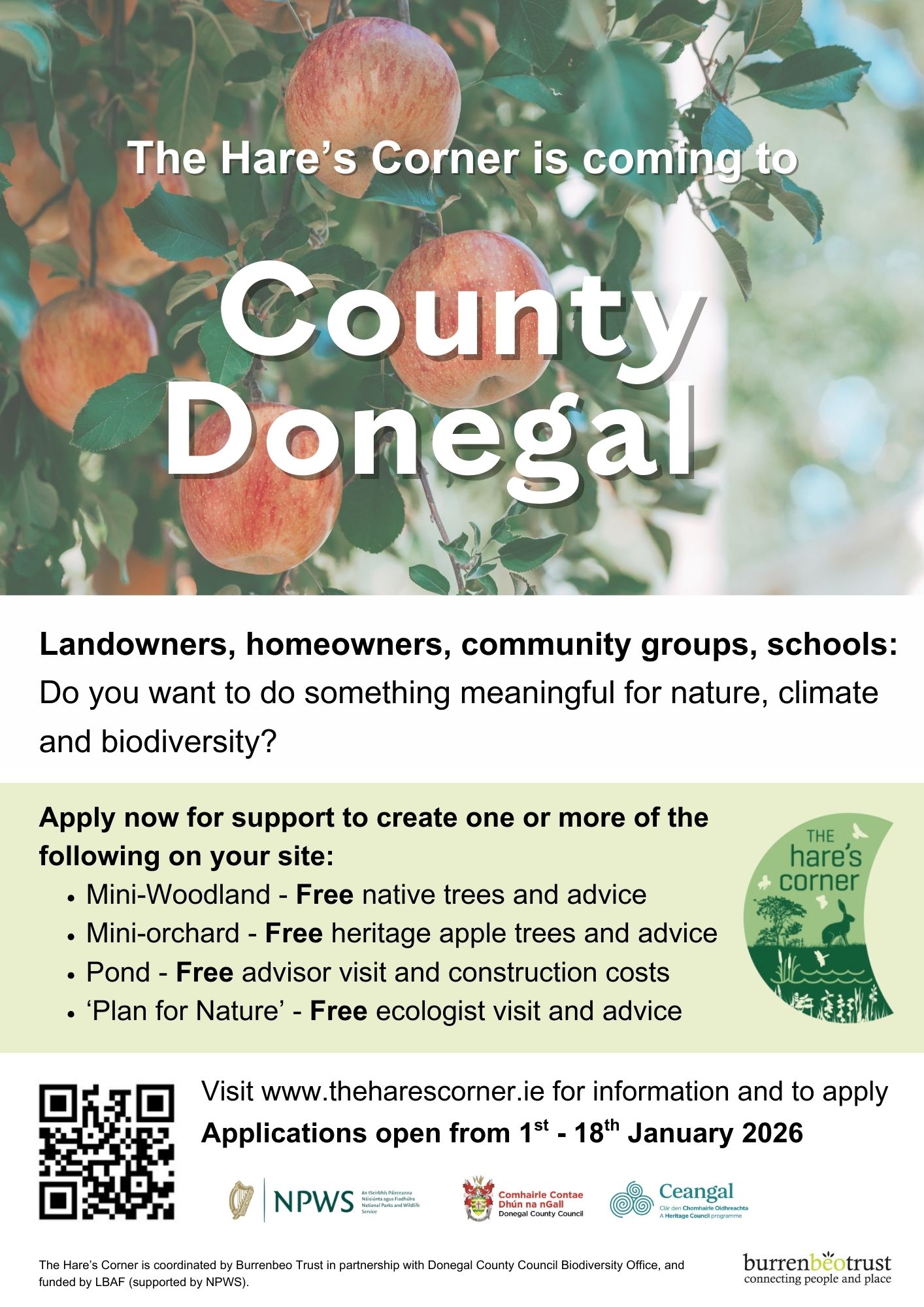 Donegal Landowners Invited to Create a ‘Hare’s Corner’ for Nature – Hassle-Free Support Available