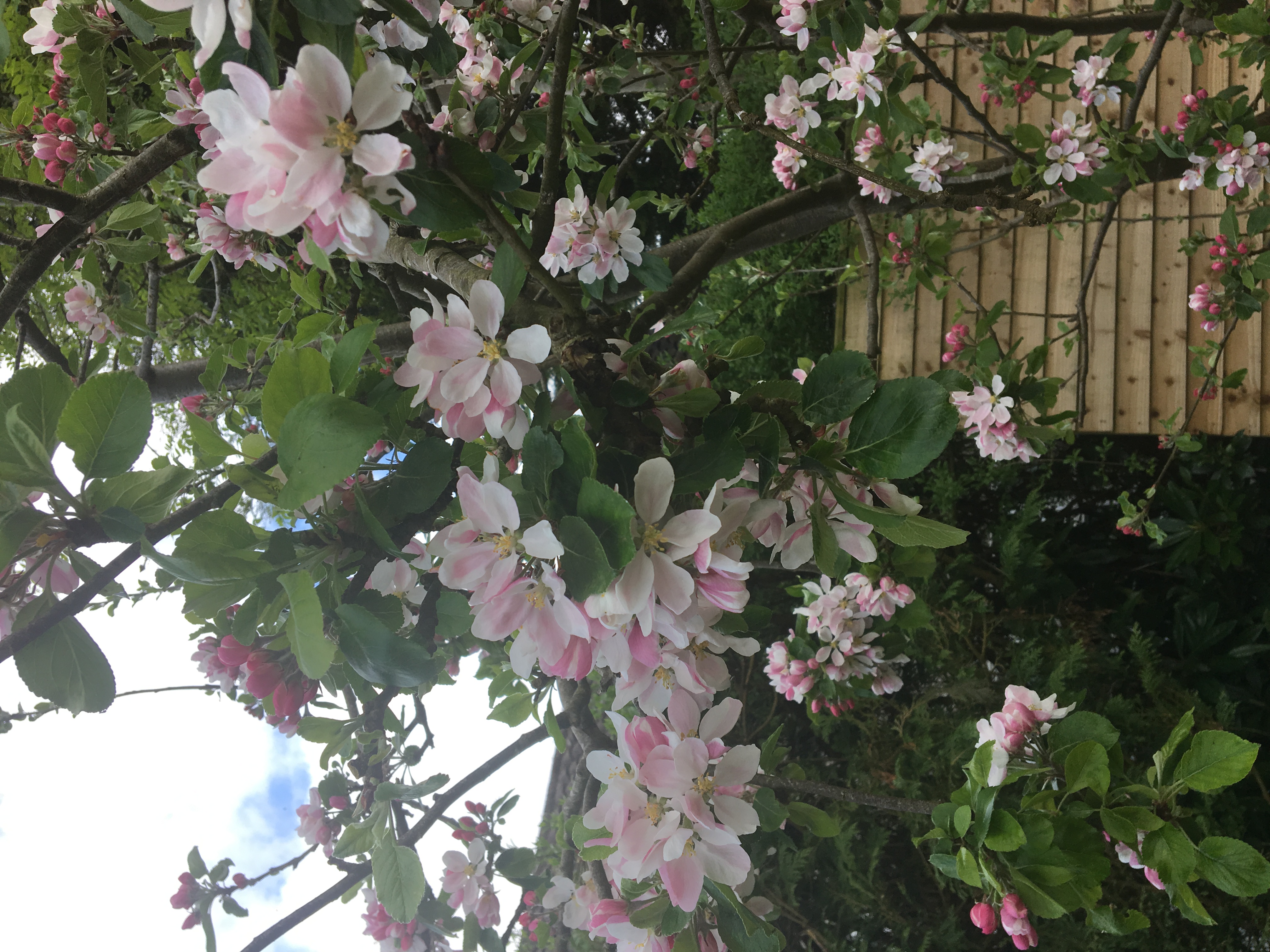 Image text description