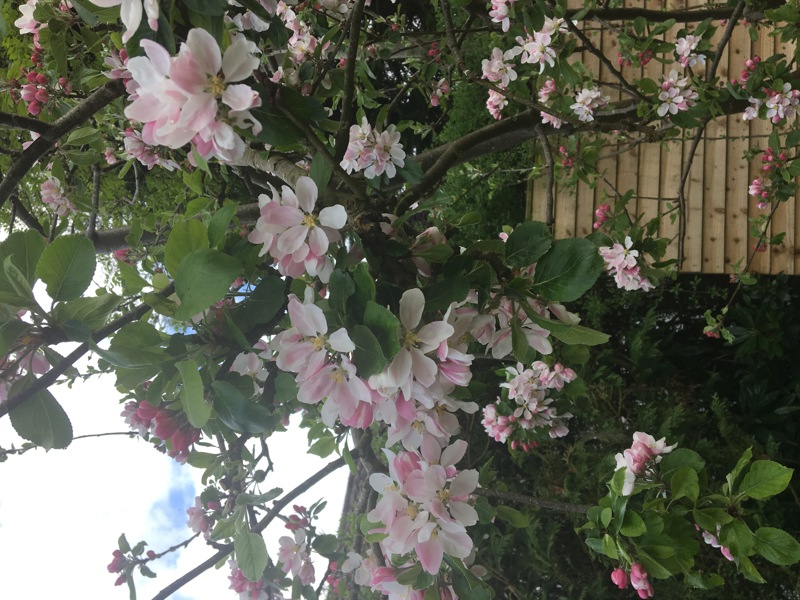 Image text description