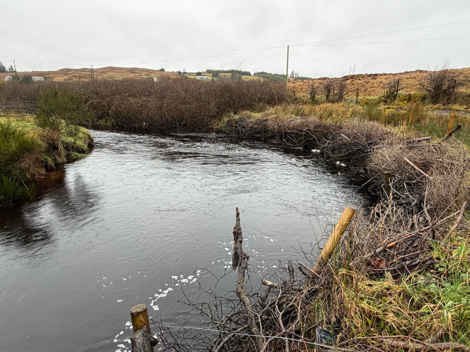 Image text description