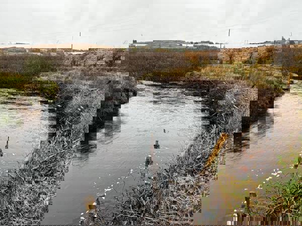 Image text description